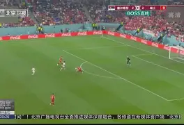 开云APP-保加利亚球赛